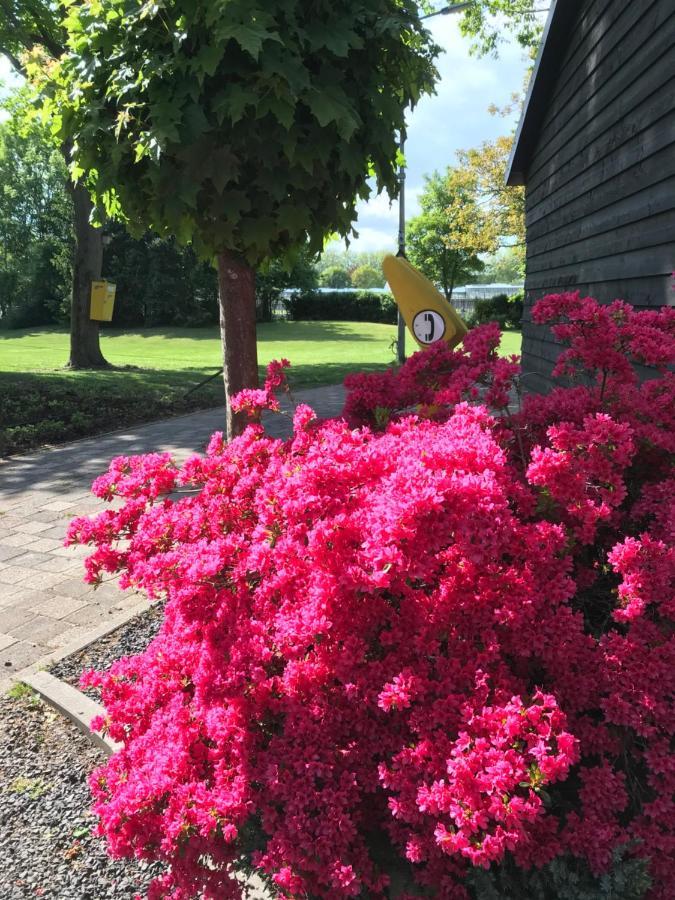 B&B De Prinsenhof Gassel 외부 사진